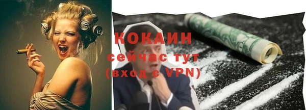 PSILOCYBIN Бородино