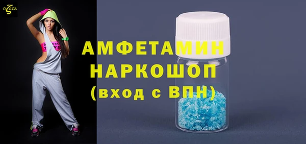 PSILOCYBIN Бородино