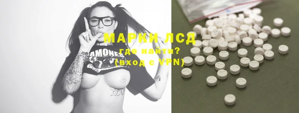 PSILOCYBIN Бородино