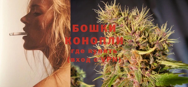 PSILOCYBIN Бородино