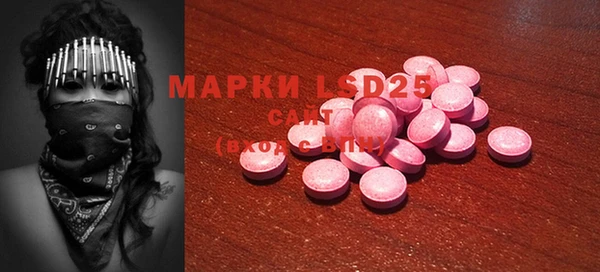 PSILOCYBIN Бородино