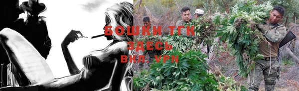 PSILOCYBIN Бородино