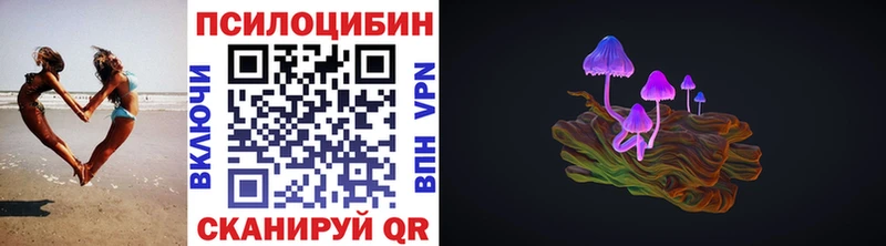 Псилоцибиновые грибы GOLDEN TEACHER купить наркотик Власиха